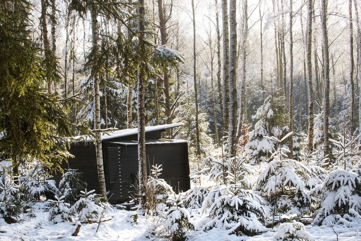 Fotografera från gömsle — tips och teknik